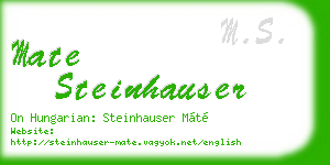 mate steinhauser business card